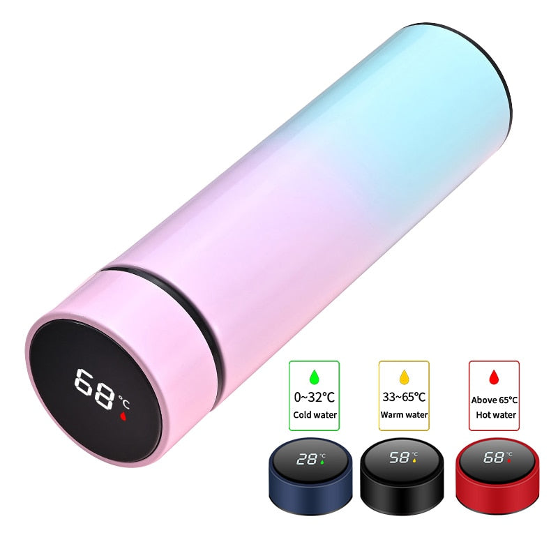 BV-Stainless Steel Temperature Display Thermos