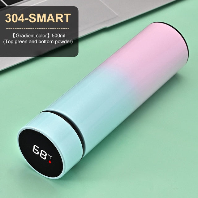 BV-Stainless Steel Temperature Display Thermos