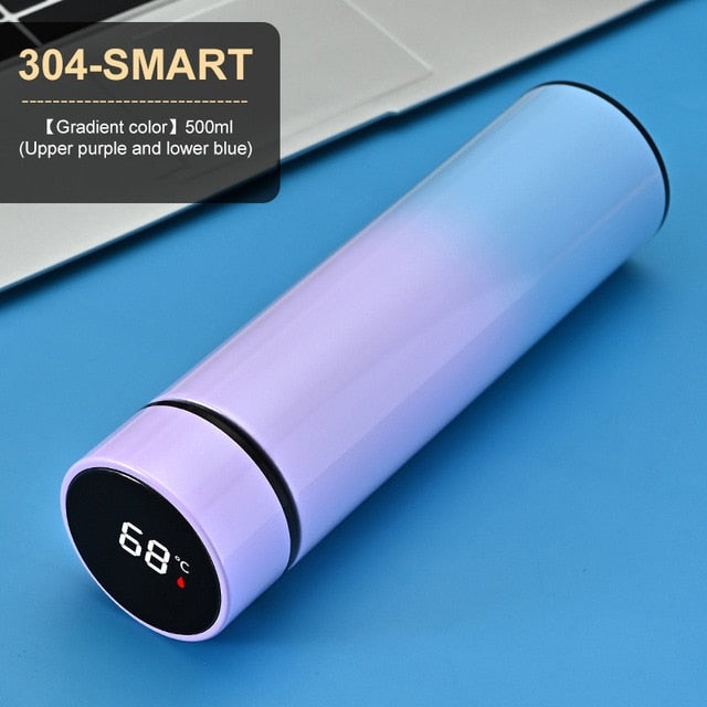 BV-Stainless Steel Temperature Display Thermos